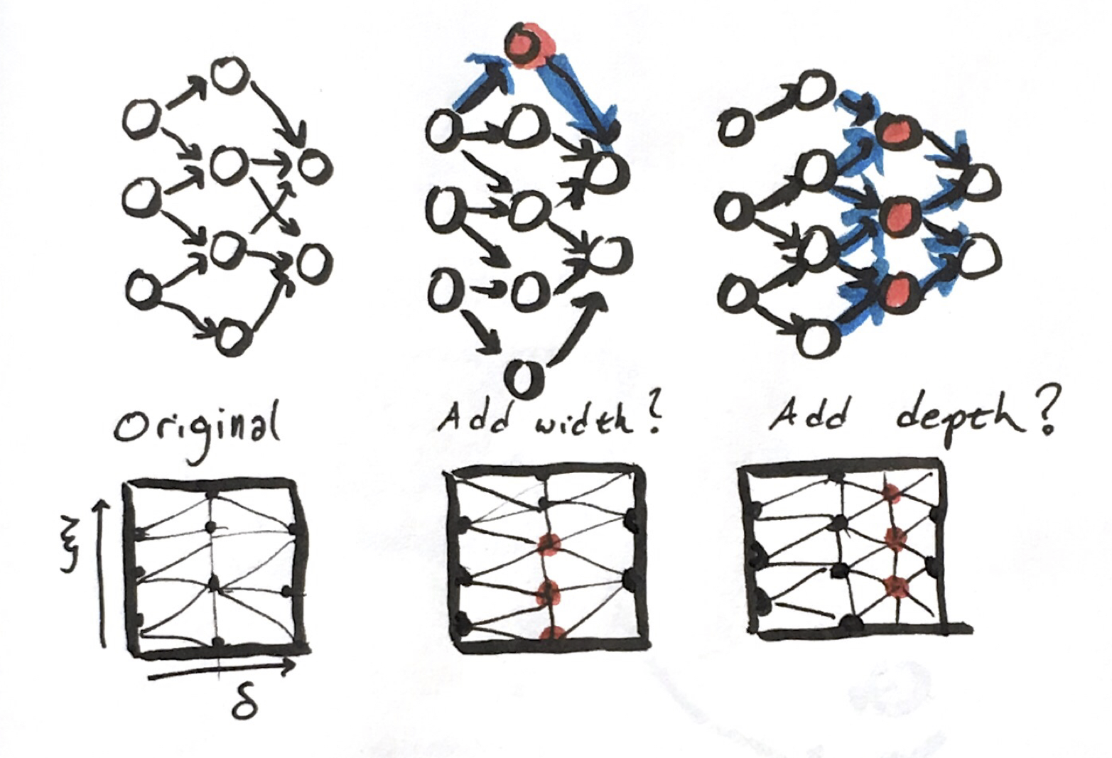 network refinement